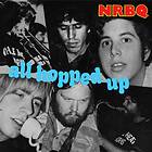 NRBQ All Hopped Up CD