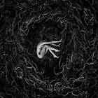 Fvnerals Let The Earth Be Silent (Digipack) CD