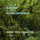 Joey & Robyn Schulkowsky Now You Hear Me CD