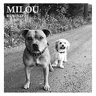 Milou - Rewind CD