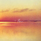 Andy Shauf Norm CD