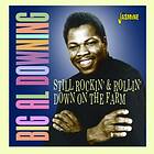 Big Al Downing Still Rockin' & Rollin' Down On The Farm CD