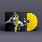 Donny McCaslin I Want CD