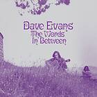 Dave Evans (Folk) The Words Inbetween CD