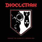 Diocletian Amongst The Flames Of A Burning God CD