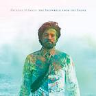 Anthony D'Amato The Shipwreck From Shore CD