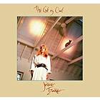 Judie Tzuke The Cat Is Out CD