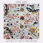 Joe Pug Nation Of Heat / Revisited CD