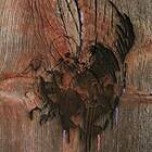 Avey Tare's Slasher Flicks Enter The House CD