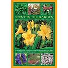 Scent in the Garden