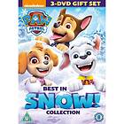 Paw Patrol Best in Snow Christmas Collection DVD