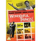 Wonderful Things DVD