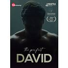 The Perfect David DVD