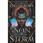 Son of the Storm