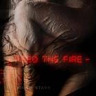 Kinnie Starr Feed Fire LP