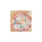 Bibio Silver Wilkinson CD