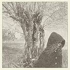 Lankum Between The Earth And Sky CD