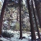 Stein Urheim & Mari Kvien Brunvoll Daydream Twin LP