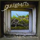 Guillemots Through The Windowpane CD