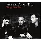 Avishai Cohen Gently Disturbed LP