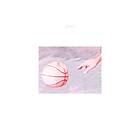 Porches Pool CD