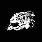 Legends Of The Seagullmen CD