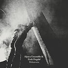Alpaca & Eirik Hegdal Mekatonia LP