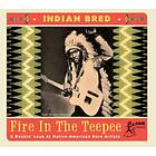 Artister Indian Bred: Fire In The Teepee CD