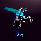 What So Not All The Beautiful Things CD