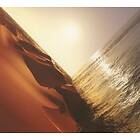 Mark Pritchard Under The Sun CD