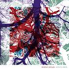 Silversun Pickups Widow's Weeds CD