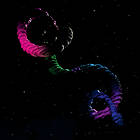 Brogan Snake CD
