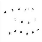 Daniel Woolhouse What's That Sound LP