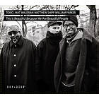 Toxic (Mat Walerian/Matthew Shipp/William Parker) This Is Beautiful Because We A