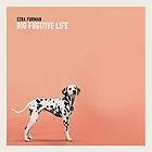 Ezra Furman Big Fugitive Life Ep LP