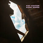 Fay Darn Songs CD