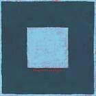 Pinegrove Skylight CD