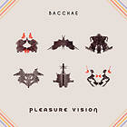 Pleasure Vision LP