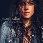 Jesse Palter Paper Trail CD