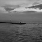Dakota Suite & Vampillia The Sea Is Never Full CD