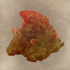 Mazes Ores & Minerals LP