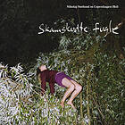 Nikolaj Nørlund / Copenhagen Phil Skamskudte Fugle LP