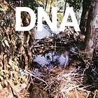 DNA A Taste Of Dna LP
