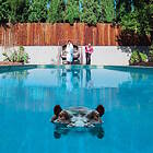 Sparks Hippopotamus CD