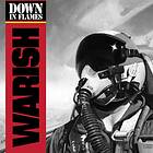 Down In Flames CD