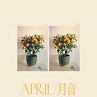 Emmy The Great April LP