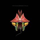 Tony Buck & Massimo Pupillo Unseen CD