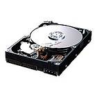 Samsung SpinPoint T133 HD300LD 8MB 300GB