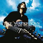 The Waterboys A Rock In Weary Land Deluxe Edition CD