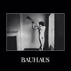 Bauhaus In The Flat Field Limited Edition LP